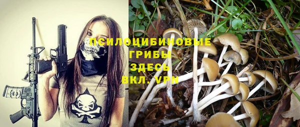 соль курить ск Ельня