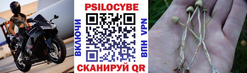 Галлюциногенные грибы ЛСД  Купить  Свирск 